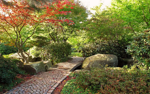 650950 (a): :2560x1600